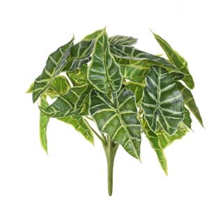 Caladium Bush x9 UV - 25cm