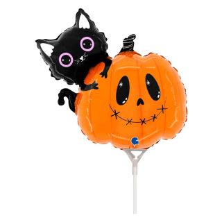 cat-and-the-pumpkin-mini.jpg
