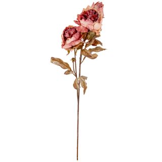 Dry Peony Vintage Rose Pink x3 Single Stem