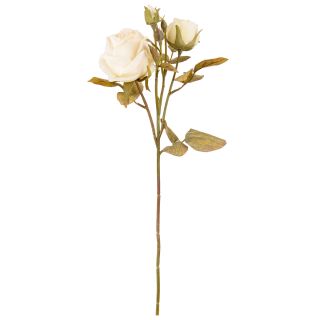 Dry Rose Spray Linen White single stem