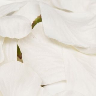 Eleganza Rose Petals White No.01 - 1000pcs