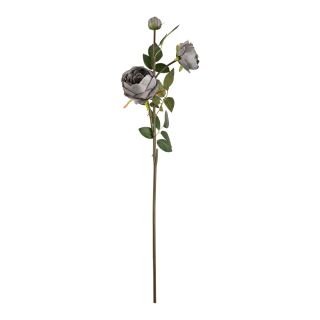 Elizabeth Garden Rose Spray x 3 Grey