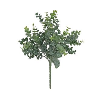 Eucalyptus Bush Botanica 35cm 
