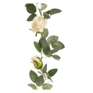 eucalyptus-garland-with-white-wild-rose
