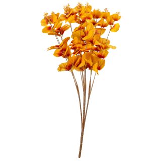 Eucalyptus Bunch Orange Flower 16 Heads