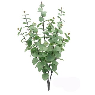  Eucalyptus Bush x 9 with 192 Leaves