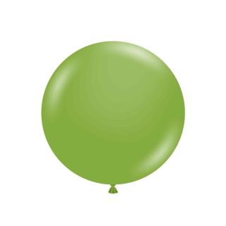 fiona-designer-round.jpg