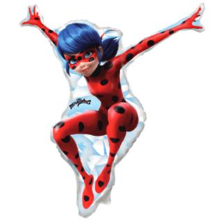 flexmetal-miraculous-ladybug.jpg