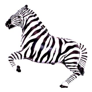 flexmetal-zebra-black.jpg