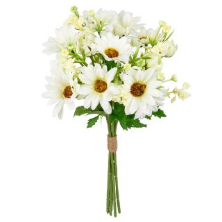 Gerbera Daisy Mixed Bush White