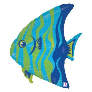 grabo-angel-fish-b.jpg
