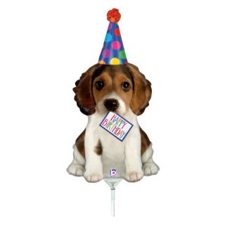 grabo-birthday-puppy-b.jpg