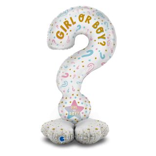 grabo-gk70011-p-the-standups---question-mark-gender-reveal-fr-b.jpg