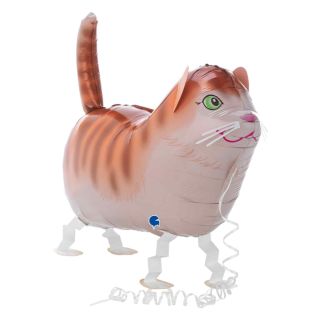 grabo-tommy-the-cat-walk.jpg