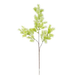 green---white-foliage-spray-stem-72cm