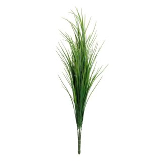 green-grass-bush-x5