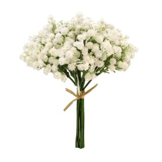 gyp-bundle-white.jpg