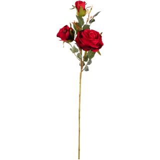 Large Charlotte Rose Spray Red Single Stem x3 Heads