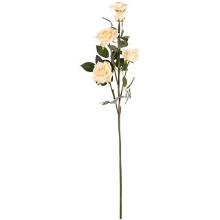 Large Diana Rose Spray Nude x 5