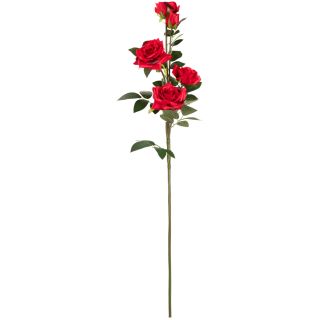 Large Diana Rose Spray Red x5 Heads