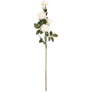 Large Diana Rose Spray White x 5