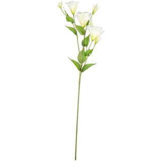 Lisianthus Spray x3 White Single Stem