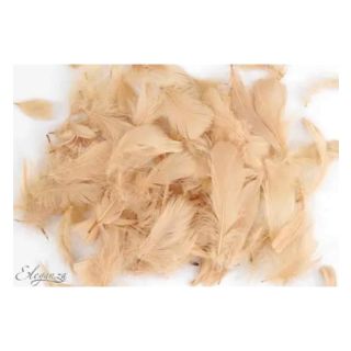oaktree-3-5inch-50g-bag-blush.jpg