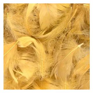 oaktree-3-5inch-50g-bag-gold.jpg