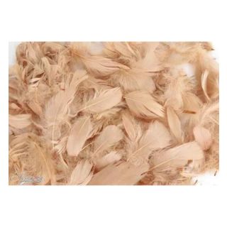 oaktree-3-5inch-50g-bag-natural.jpg
