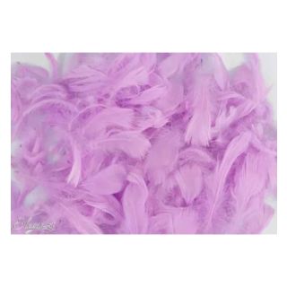oaktree-3-5inch-50g-bag-pastel-lavender.jpg