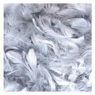 oaktree-3-5inch-50g-bag-silver.jpg