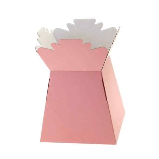 pale-pink-living-vase.jpg