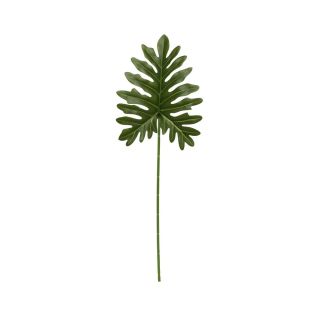 Philo Leaf Green 60cm