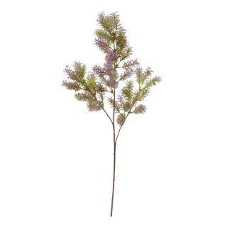 purple-foliage-spray-stem-72cm