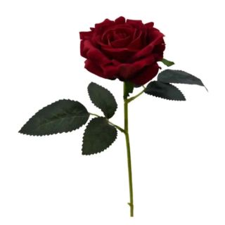single-short-stem-red-rose