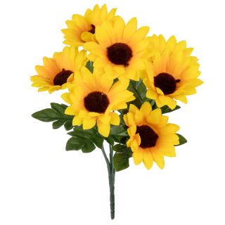 Sunflower Bush