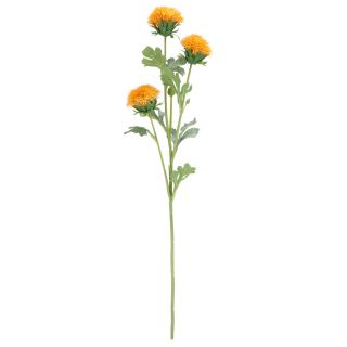 Thistle Spary Orange x3 68cm