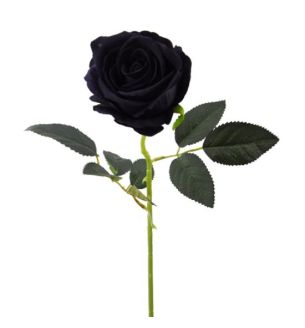 Single Rose Large Velvet Black 
