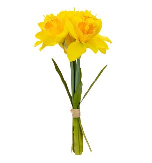 17" Daffodil Bouquet X 6 Heads