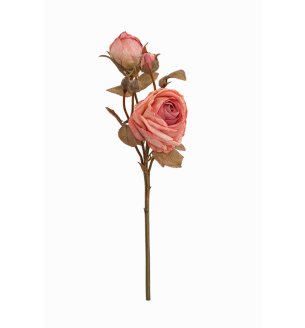 Rose Spray  Rose Quartz Dried Spay