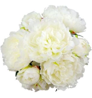 44cm-large-peony-bush-ivory-up-up.jpg