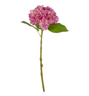 Small Head Hydrangea Pretty Pink