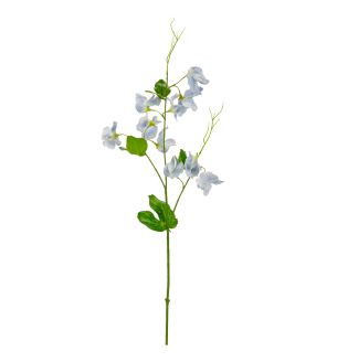 Sweet Pea Spray Light Blue