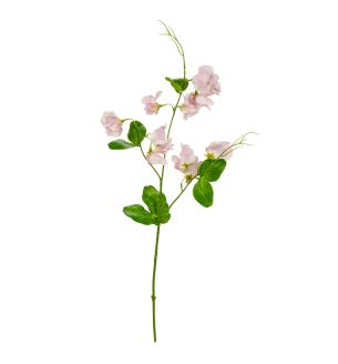 Sweet Pea Spray Light Pink