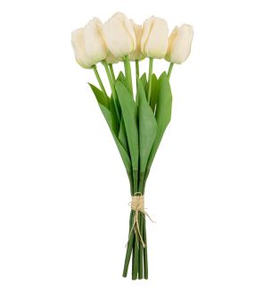 Tulip Bunch x 9 Cream