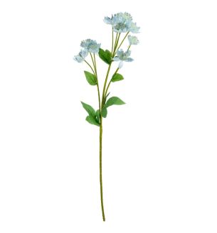 astrantia-spray-blue-61cm