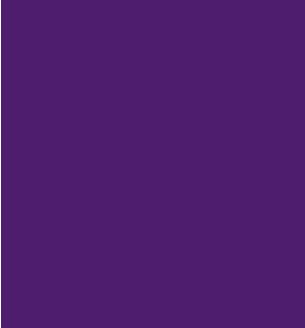 De Tape Cadbury Purple Vinyl Roll 305mm x 5m