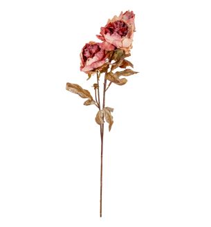 Dry Peony Vintage Rose Pink x3 Single Stem