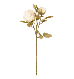 Dry Rose Spray Linen White single stem