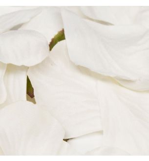 Eleganza Rose Petals White No.01 - 1000pcs